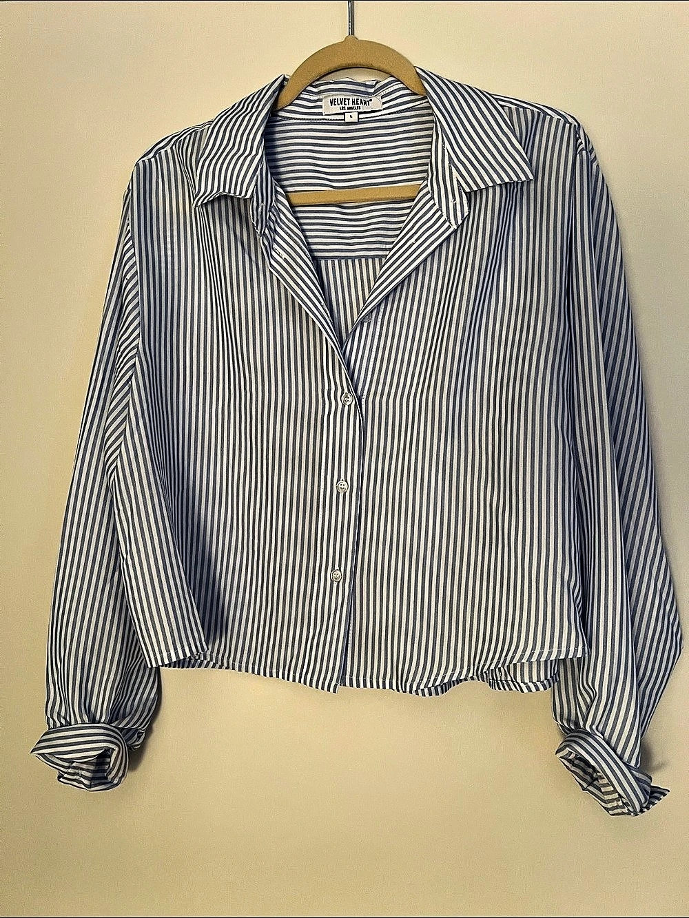 Velvet Heart Striped Button Down in Blue & White Large Like New